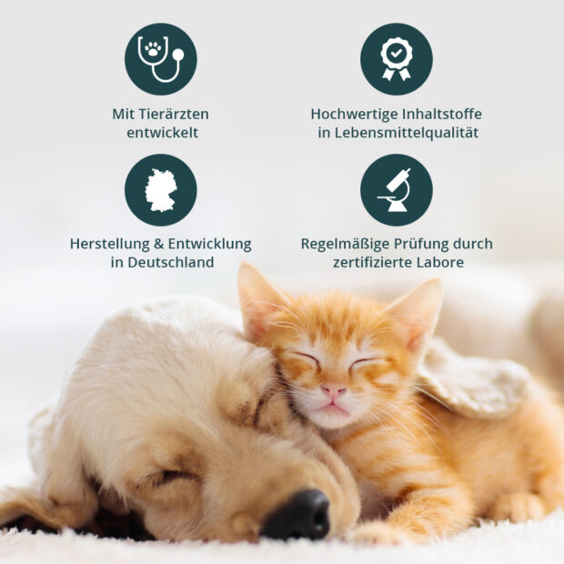 Hund und Katze kuscheln, weiches Fell, Icons mit Vorteilen und Alleinstellungsmerkmalen von purapep Haut und Fell 280g