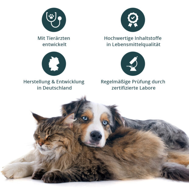 Hund und Katze kuscheln, Icons mit Vorteilen und Alleinstellungsmerkmalen von purapep Senior 100g