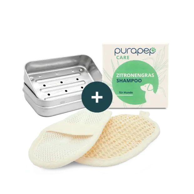 Pflege-Trio: Frischepflege mit Zitronengras-Shampoo