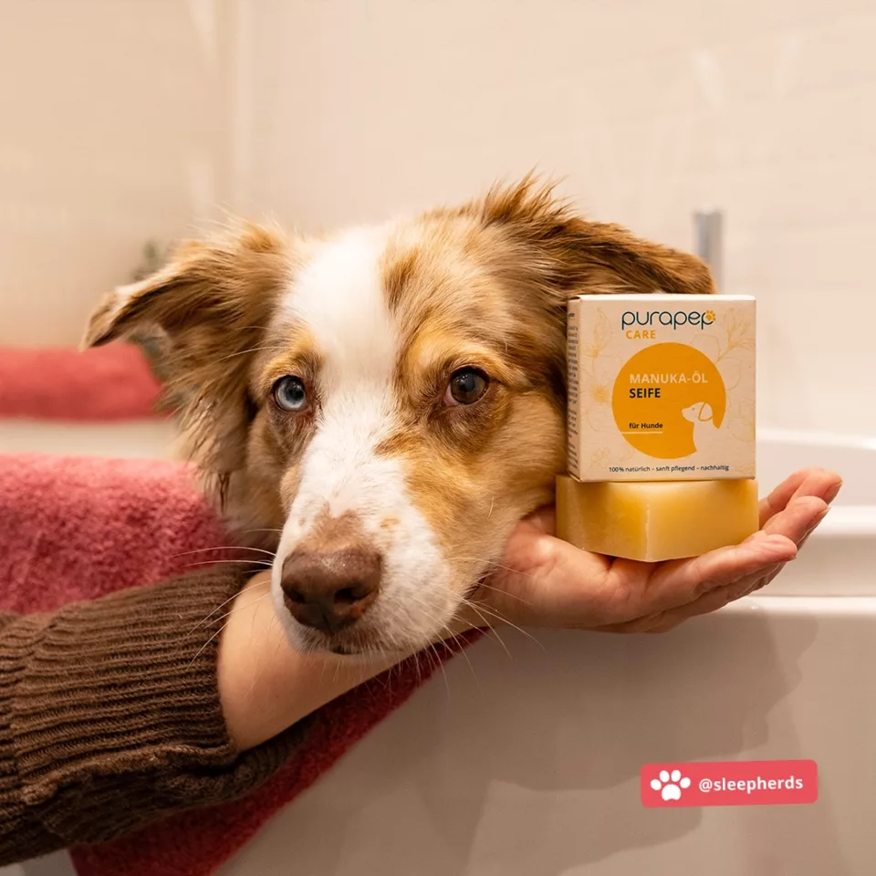 purapep Manuka Öl Seife im Test