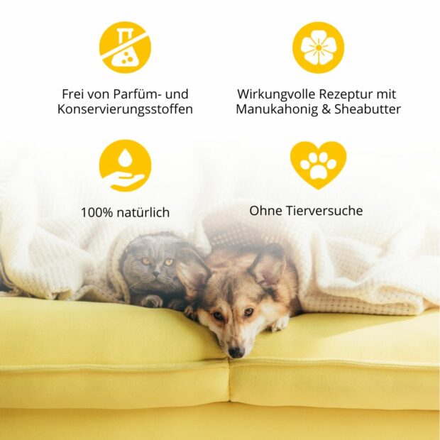 Hund und Katze kuscheln unter Decke, Icons mit Vorteilen und Alleinstellungsmerkmalen von purapep Care Manuka Balsam 50ml