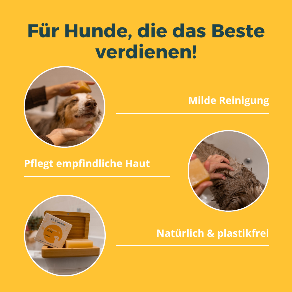 Hund wird mit purapep Manuka-Öl Seife gewaschen – milde Reinigung für empfindliche Haut
