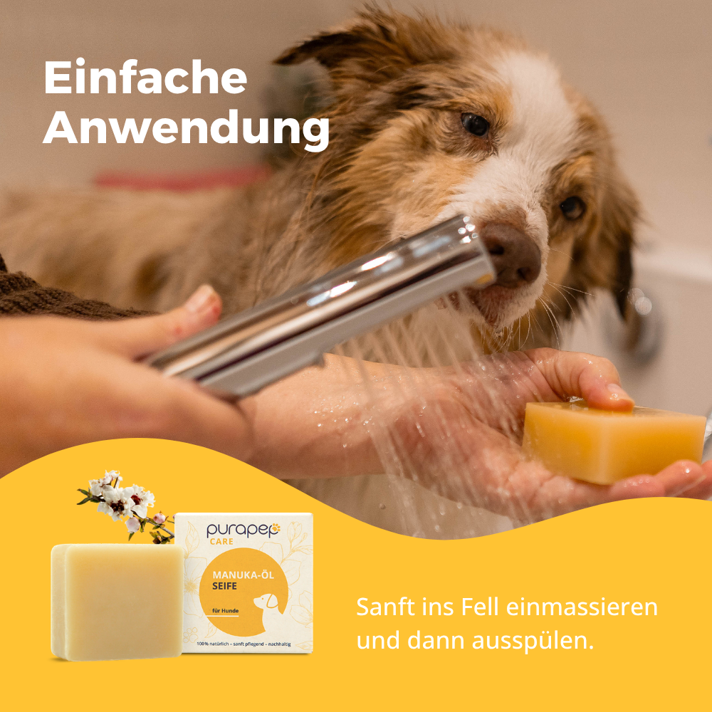 Anwendung purapep Hundeseife – sanft ins Fell einmassieren und ausspülen