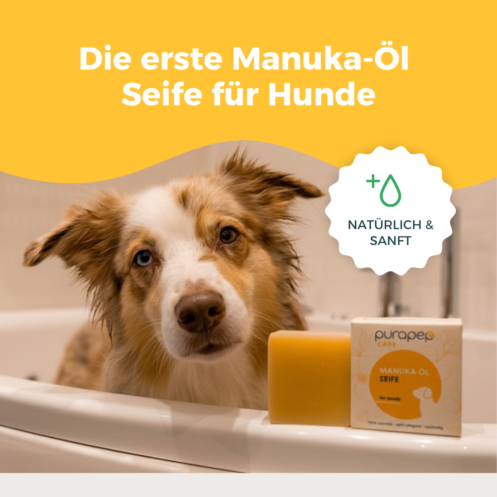 Die erste Manuka-Öl Seife für Hunde – natürlich & sanft