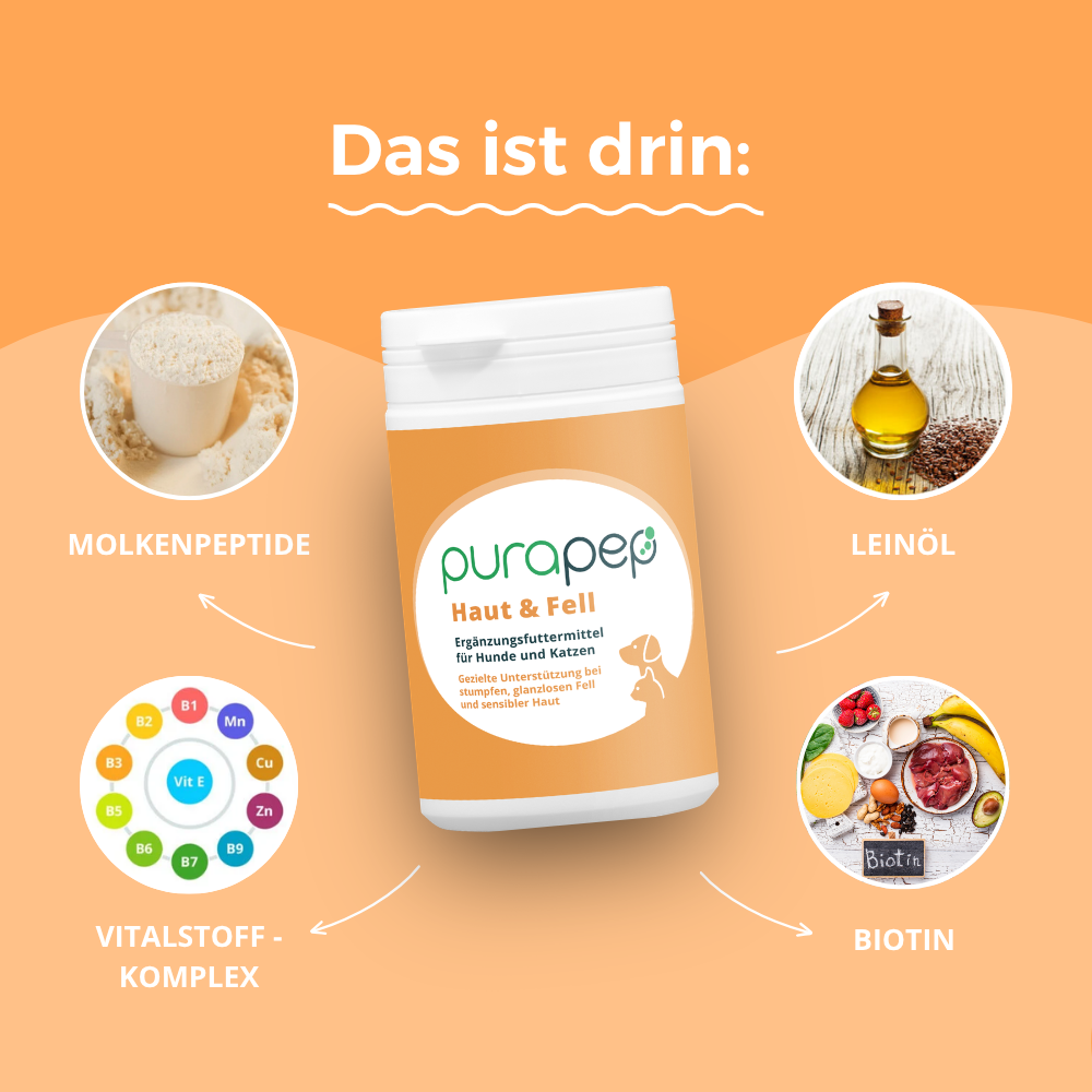 purapep Haut und Fell für Katzen Inhaltsstoffe